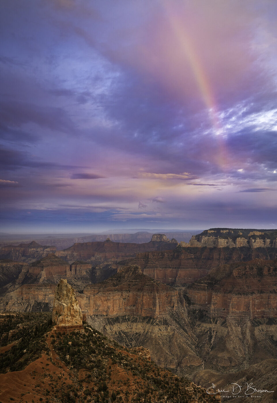 The Rainbow